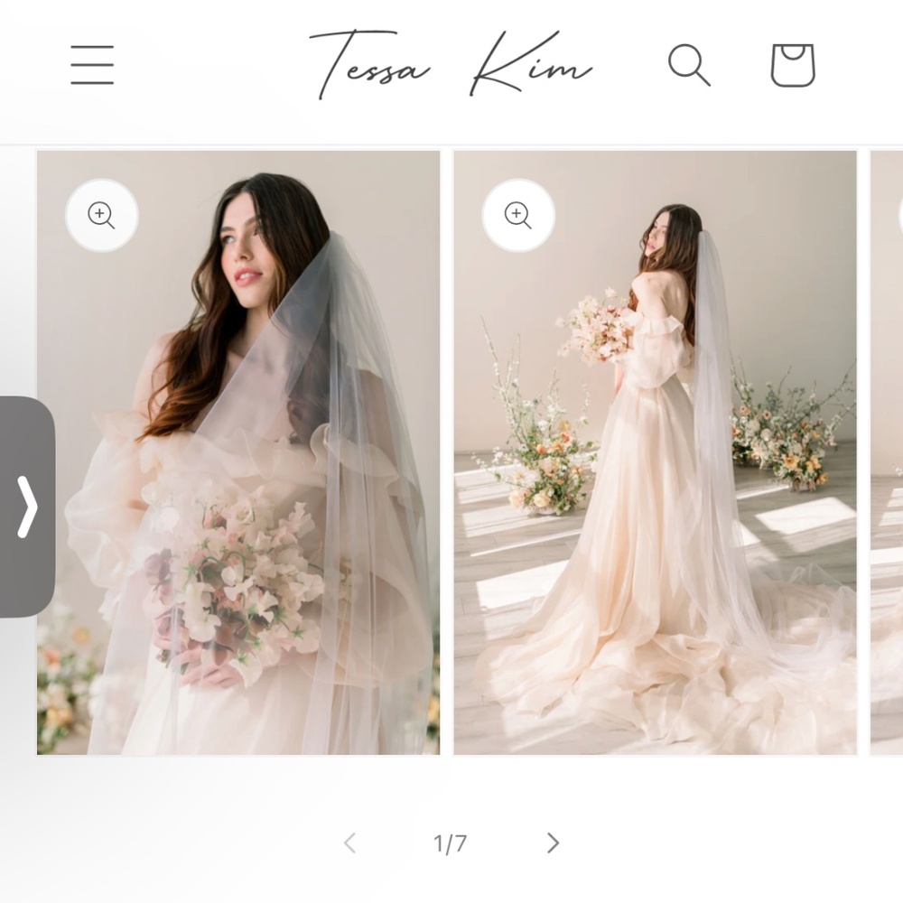 French Tulle Single Tier Chapel Veil, light ivory
